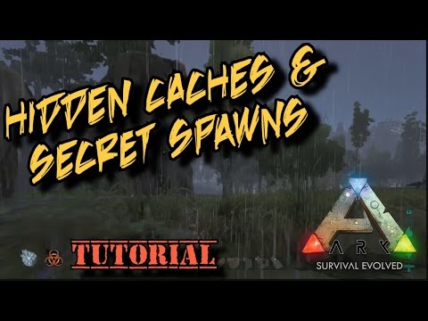 Hidden Caches and Secret Spawns - Ark Survival Evolved