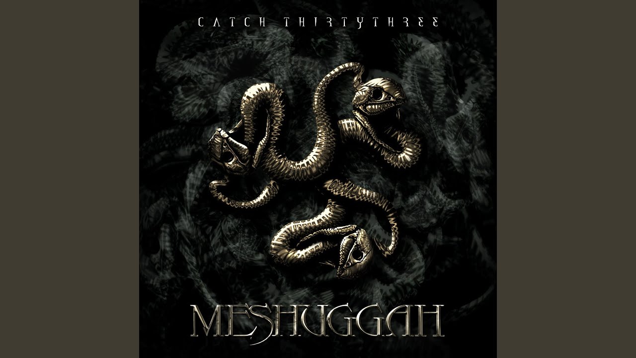 Meshuggah - Disenchantment