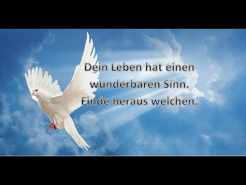 Lebenserfolg 11 07 2019