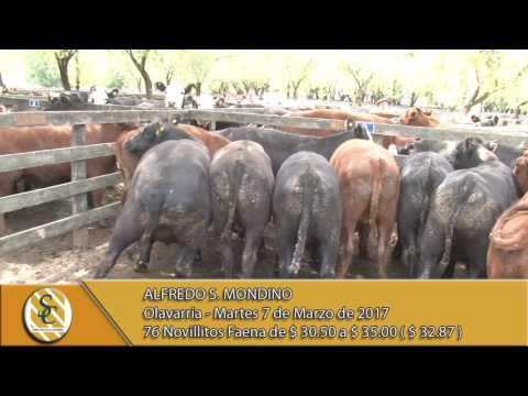 07-03-17 Venta de Gordo - Alfredo S. Mondino - Olavarria.