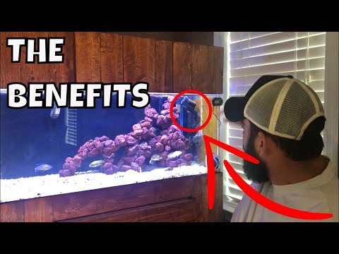 HOW TO: Aquarium wavemaker