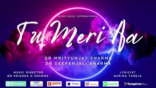 Tu Meri Aa song artwork