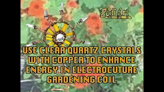 Use Clear Quartz Crystals with Copper to Enhance Energy in Electroculture Gardening Coil.