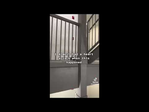 ONE SECOND BEFORE DISASTER MEMES (#17)