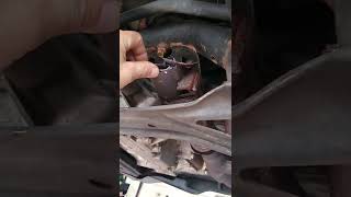 2004 Honda pilot stolen Catalytic converter