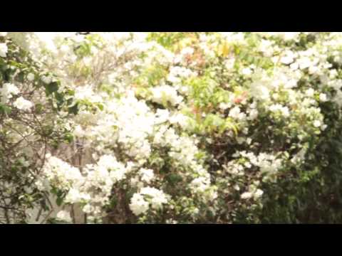 The making of Rami Al Ali's A/W14 couture collection