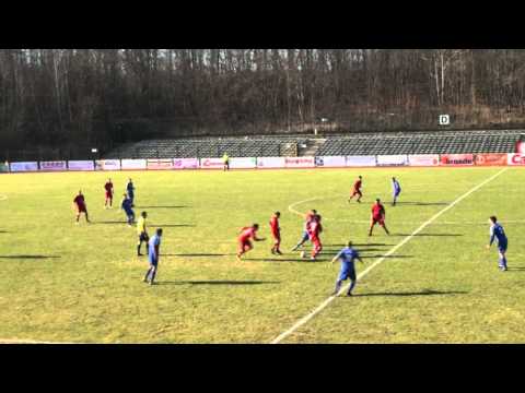 ZF Berliner AK 07 - TSG Neustrelitz (20.03.2011)