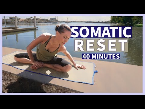 Somatic Yin Yoga Cortisol NERVOUS SYSTEM RESET for Full Body Fascia Repatterning | 40 minutes