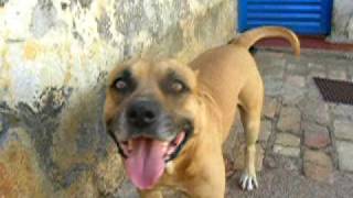 Download lagu Rordak!! mp3 Download lagu Rordak!! mp3