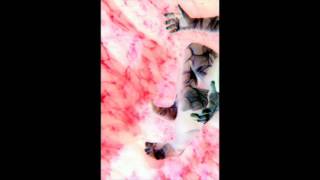 autechre : piezo (excerpt)