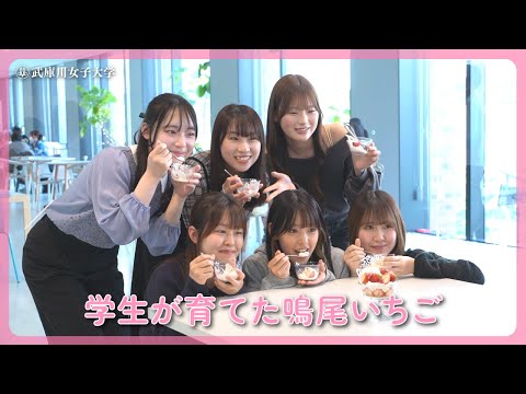 経営学科 学生たちが渾身の食レポ！鳴尾イチゴを使ったパフェのお味は？