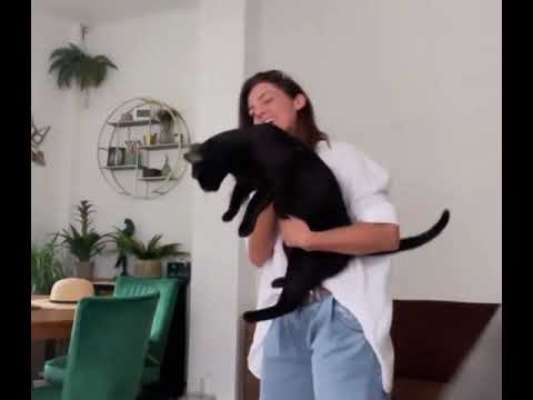 Anaïs Delva - Defying Gravity