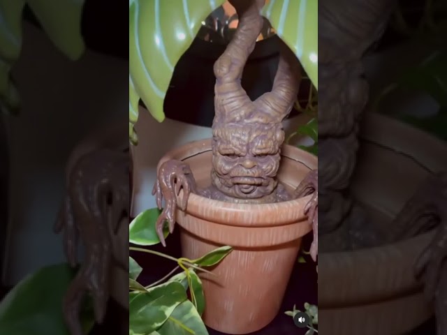 Vídeo relacionado con Silver Buffalo Harry Potter Mandrake Face 6 Inch Ceramic Planter with Faux Plant