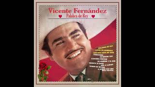 Vicente Fernández ❤ Amor En Sombras