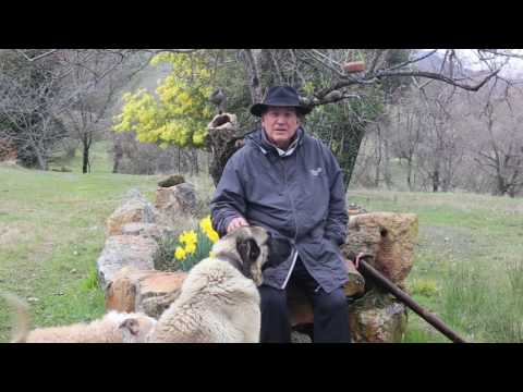 Joaquín Araújo. Emboscado