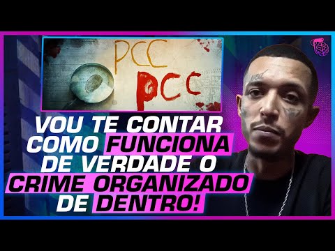 How does a company operate? Ex-Criminal reveals the hierarchy of an organized crime group!