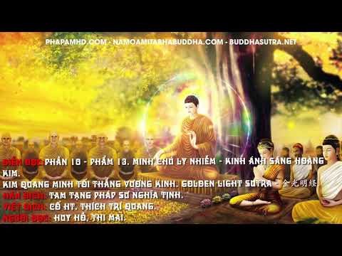 Phần 10 - Phẩm 13. Minh Chú Ly Nhiễm - Kinh Ánh Sáng Hoàng Kim