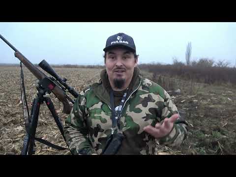 Stażysta 27 - Polowania zbiorowe i indywidualne a regulamin i bezpieczeństwo