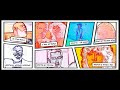 Sparks - My Other Voice (Unofficial Video)