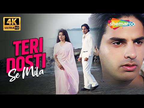 Kumar Sanu & Asha Bhosle Hit Song | Teri Dosti Se Mila | Pyaar Ka Saaya | 4K Video