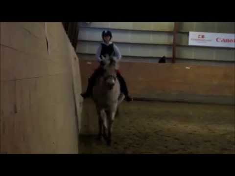 Who says ~ Maja & Fandango