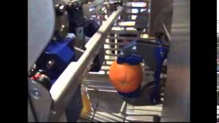ORKI Peeling machine oranges, grapefruits, kiwi   Peeling machines   All machines and products   KRO