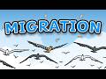 Animal Migration For Kids Why Do Animals Migrate Migration For Kids