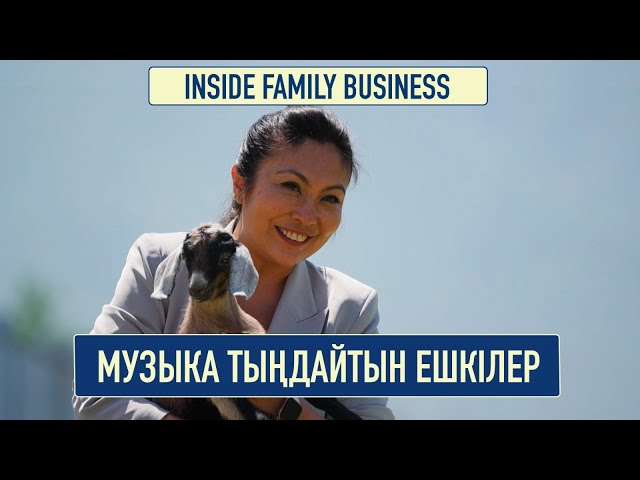 Музыка тыңдайтын ешкілер