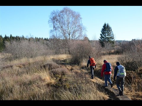 EIFELSTEIG 1 : AACHEN - GEROLSTEIN