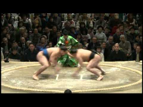 Kakuryu vs Harumafuji