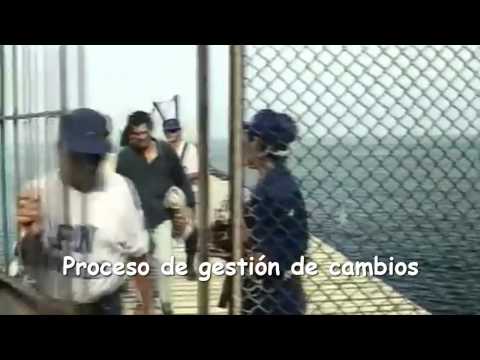 Gerencia de TI presentación ISO 20000 pelicula "Alias La Gringa"