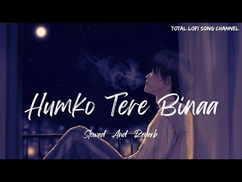 Humko Tere Bina Jeena Toh Sikha - Lofi | Chale Jana Phir | Rahul Mishra | Total Lofi Song Channel