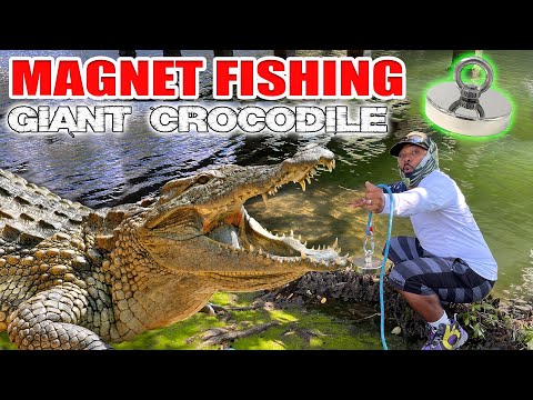 MAGNET FISHING by GIANT CROCODILE!!!