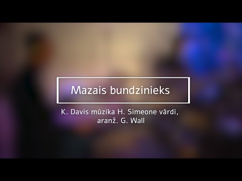 Mazais bundzinieks