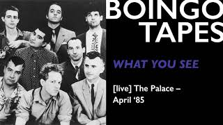 What You See (Live) – Oingo Boingo | The Palace 1985