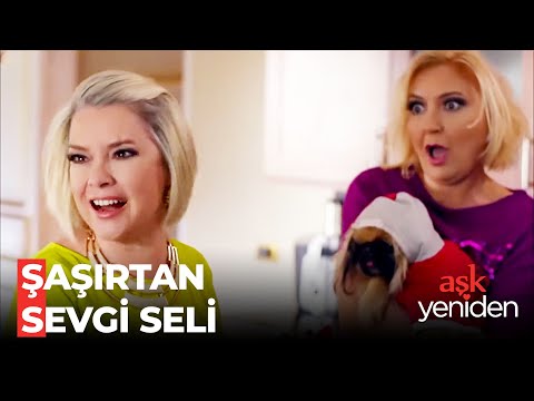 Mukaddes, Zeynep'e Olan Sevgisinden Çıldırdı - Aşk Yeniden