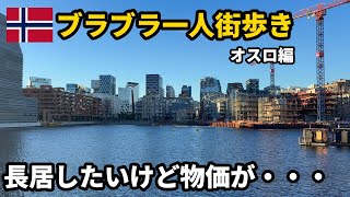 【ヨーロッパ旅行Vlog】地理好き野郎の一人街歩き#2。ちょっと先の未来が見える街?ノルウェー🇳🇴・オスロ編