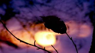 まったり雑談ラジオ　「あれやこれや　２０２５年１０月１６日」