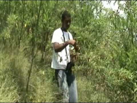 El Guandul, Grupo LOS AMIGOS