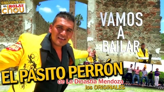Pasito Perrón  Dinastia Mendoza  ((( VIDEO OFICIAL)))