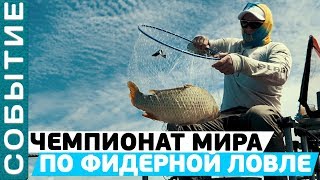 Чемпион мира по рыбной ловле 2020
