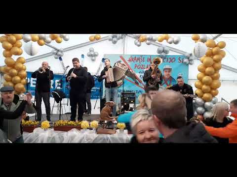 SPREJEM "TIMI ZAJC" - HARMONIKA " TIMI ZAJC" - PLAZNIK STIMA