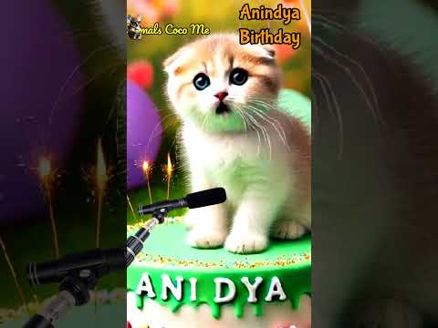 HAPPY BIRTHDAY ANINDYA | HAPPY BIRTHDAY SONG WITH NAMES | Adorable Cute Cat 😺 #happybirthday #cat