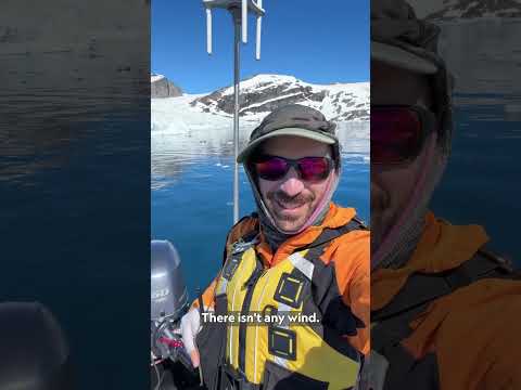 Yoo! Bernstorff Isfjord exploration on a perfect day in Greenlan