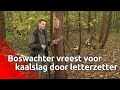 Beruchte kever De Letterzetter heeft het nu ook op grove den gemunt