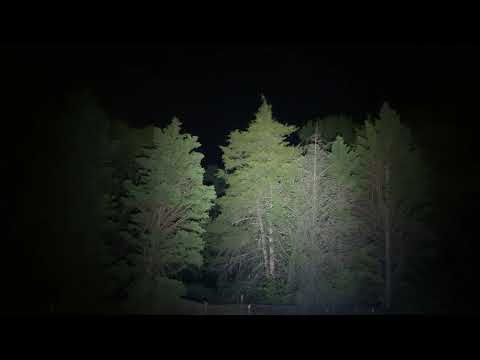 Emisar D4V2 Ti Quad Neutral White - SST20, 5000K