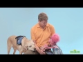 Sesame Street And Autism A Boy And His Dog