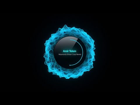 PREMIERE: Amir Telem - Nityananda (Matan Caspi Remix) [Bull In A China Shop]