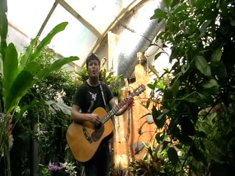 'NEIL CHELL &THE REVELRY':THAMES BUTTERFLY HOUSE , ORIGINAL: 'CLEARLY NOW' MY SINGLE
