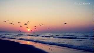 This - Ed Sheeran (Español)